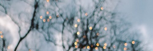 Frann_Ciska's profile banner image