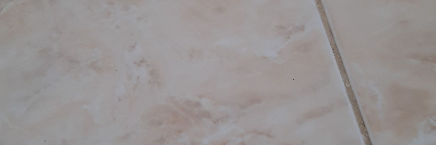 onesta212's profile banner image
