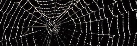 Jimiarty's profile banner image