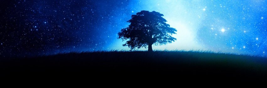 ✧︎*。Selunéa･ORCA🌊 banner