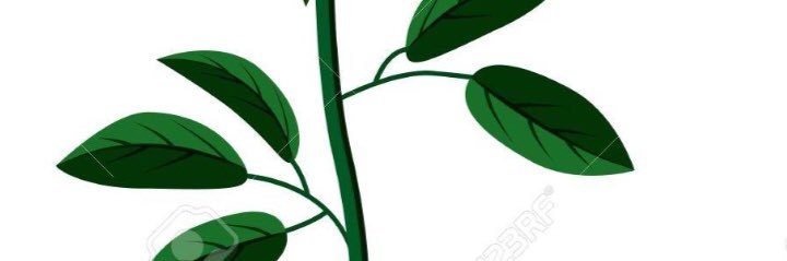 Byron4sure's profile banner image