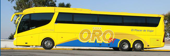 AUTOBUSES ORO banner