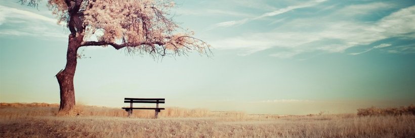 ChavesOfic's profile banner image
