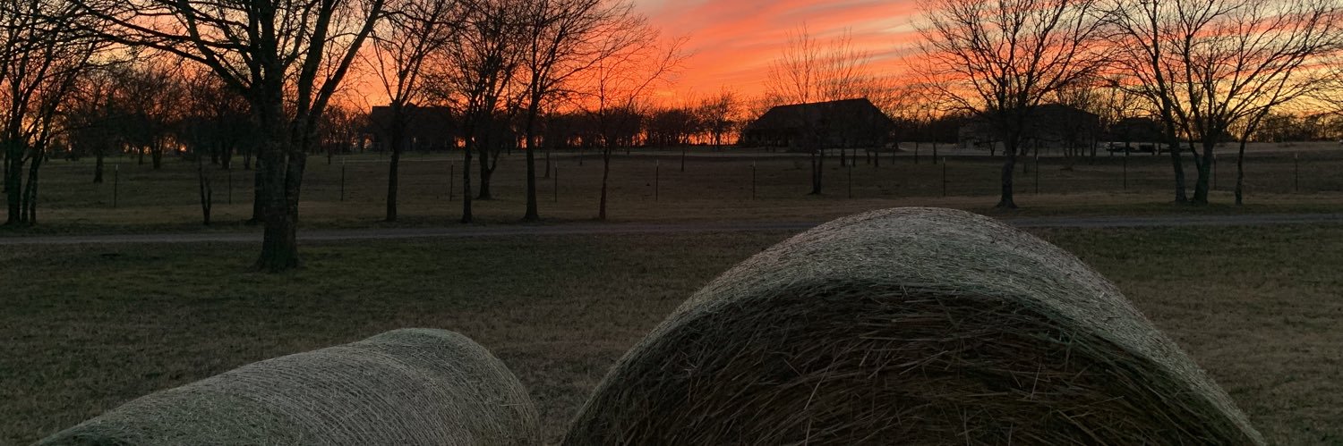 JDGnut's profile banner image