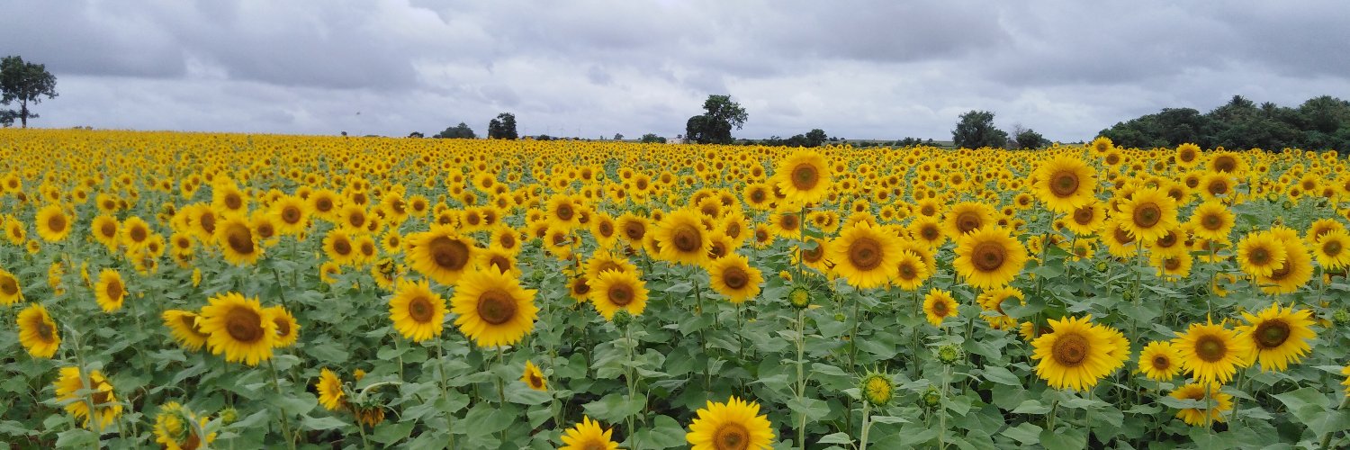 KORITWEET's profile banner image
