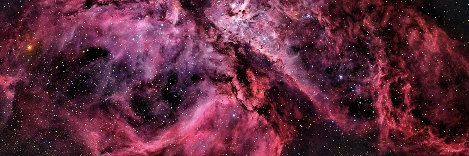 trentsdead's profile banner image