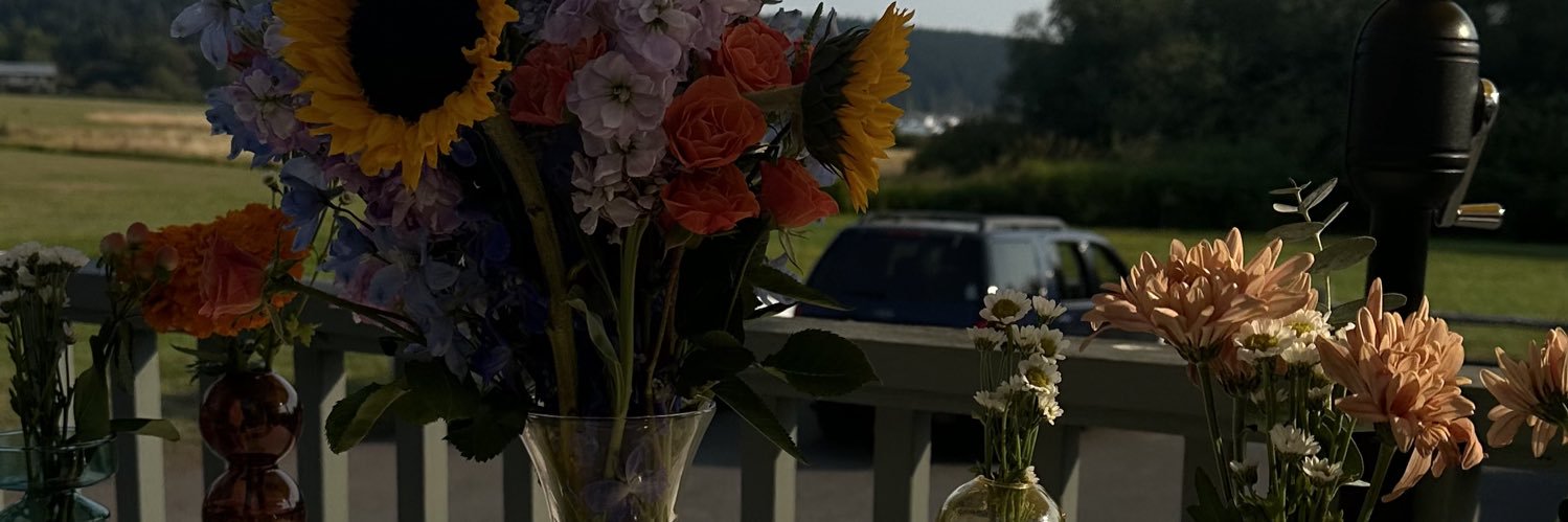daniosiooo's profile banner image