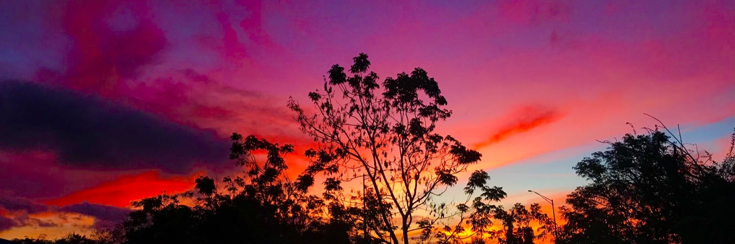 andrea_sofia2's profile banner image
