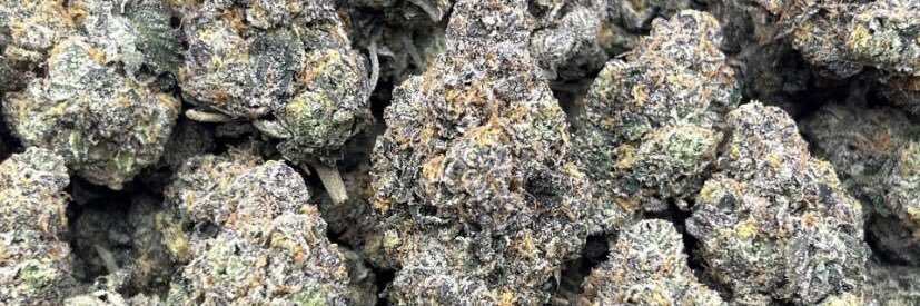 G_Street 👑🏚️📟 banner