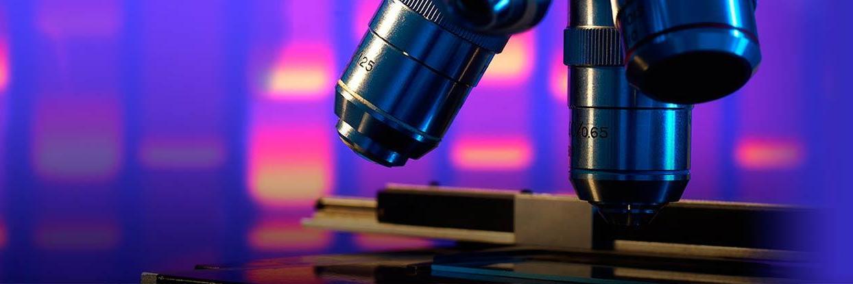 Carrie D. Wolinetz banner