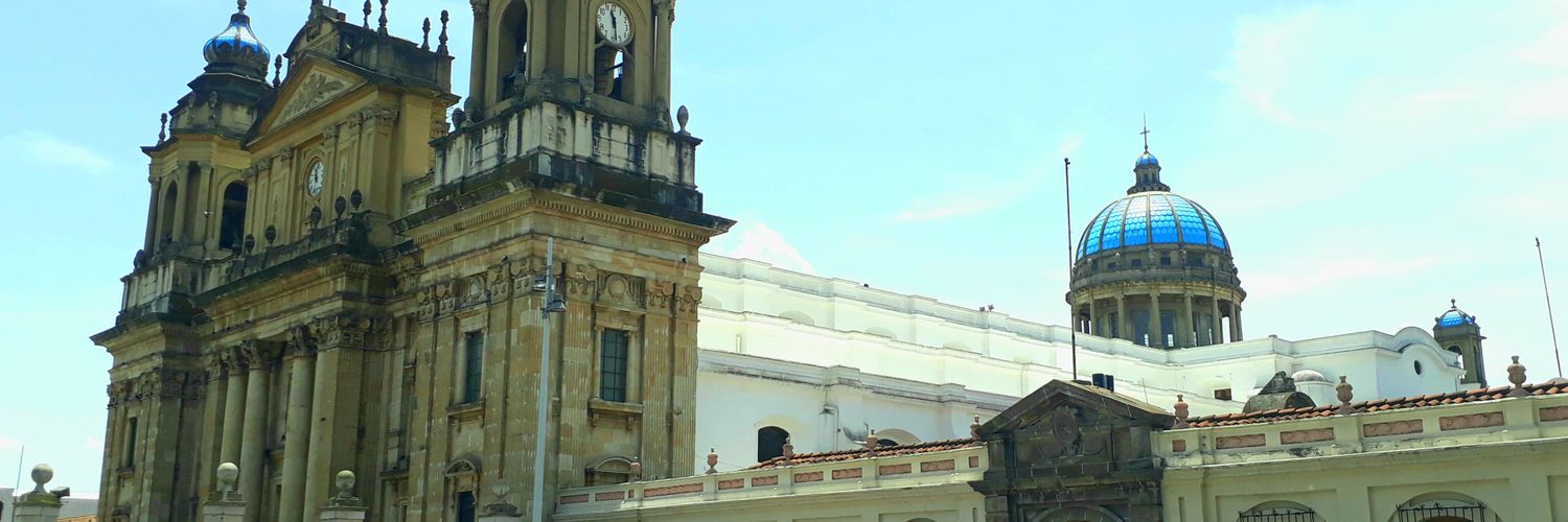 ElvisCoshito's profile banner image