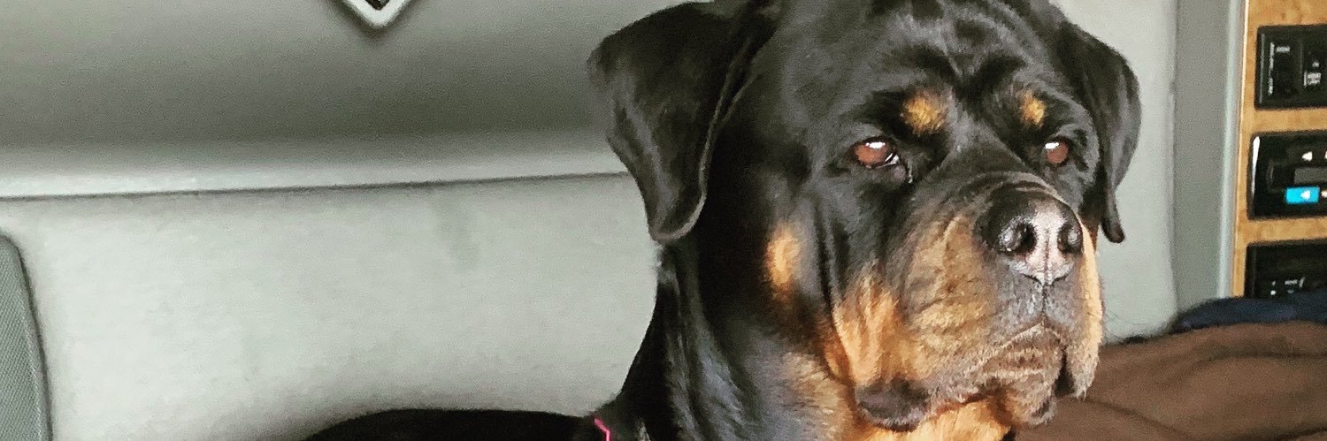 🔥T💪🏾 banner