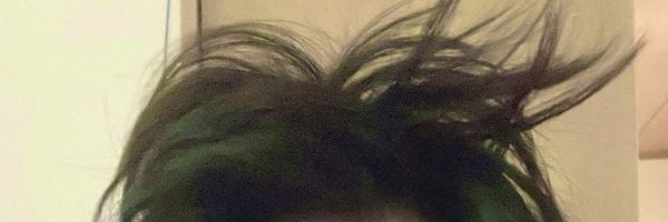 tsukushge Profile Banner