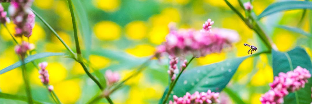 LElliottPhotog's profile banner image
