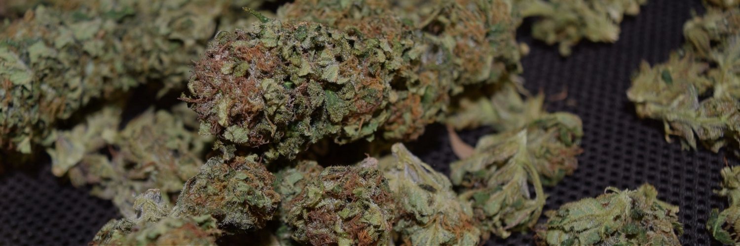 shutterbudmedia's profile banner image