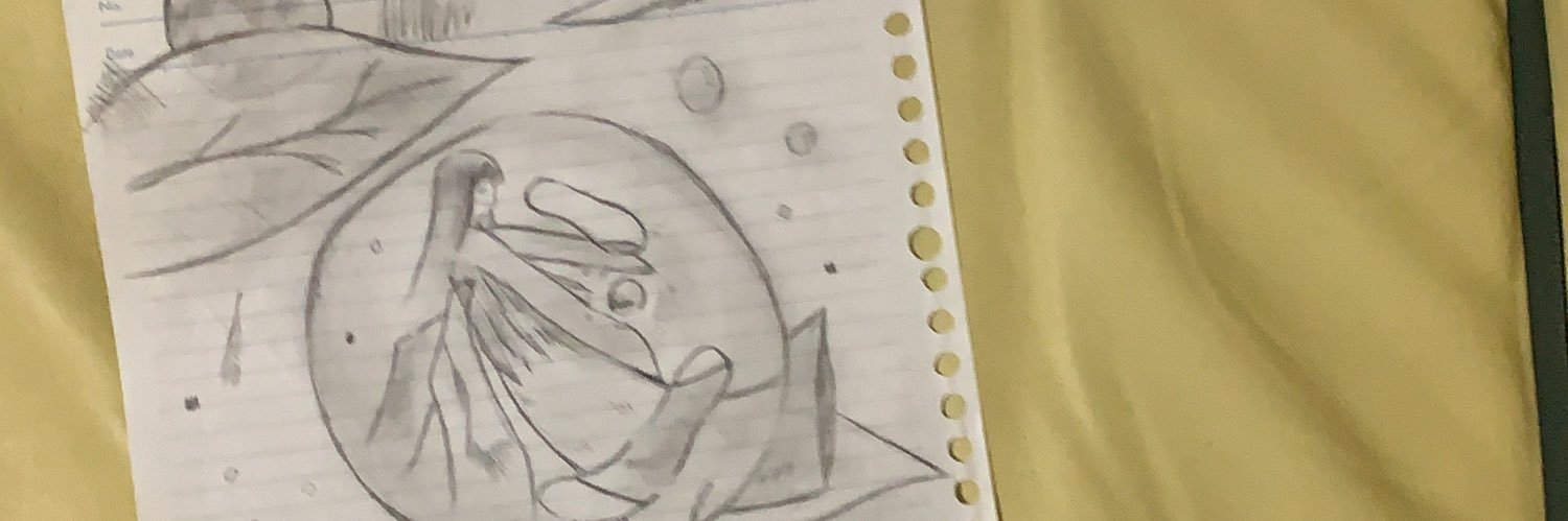 kokkosontyo's profile banner image