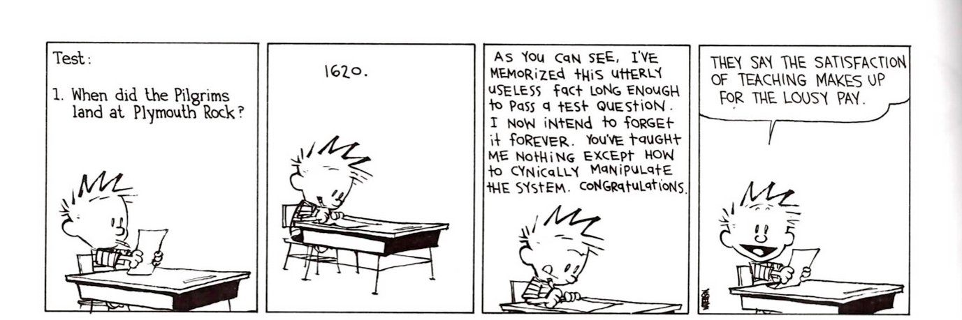 Paula Escuadra banner