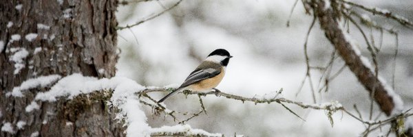 CPAWSNB Profile Banner