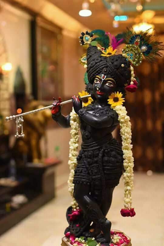 Ajaybhu21's profile banner image