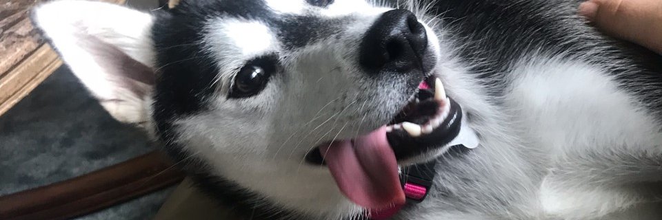 _MrJxx's profile banner image