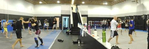 ToshidoMMA's profile banner image