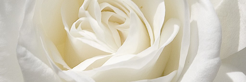 Cyn0329's profile banner image
