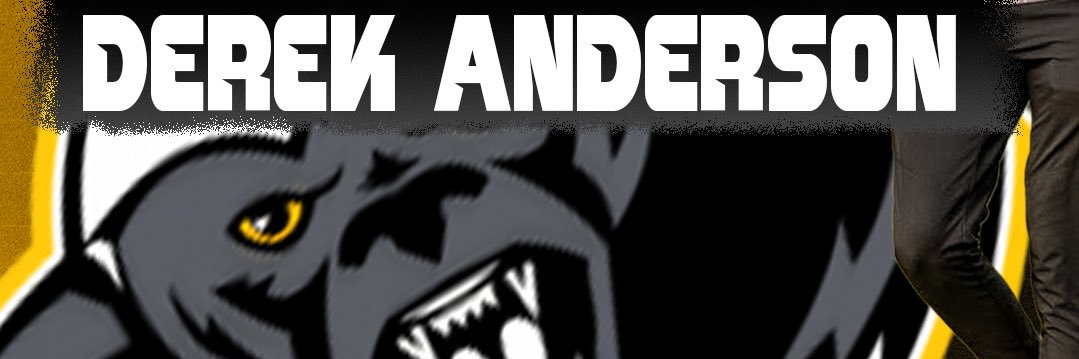 Derek Anderson banner