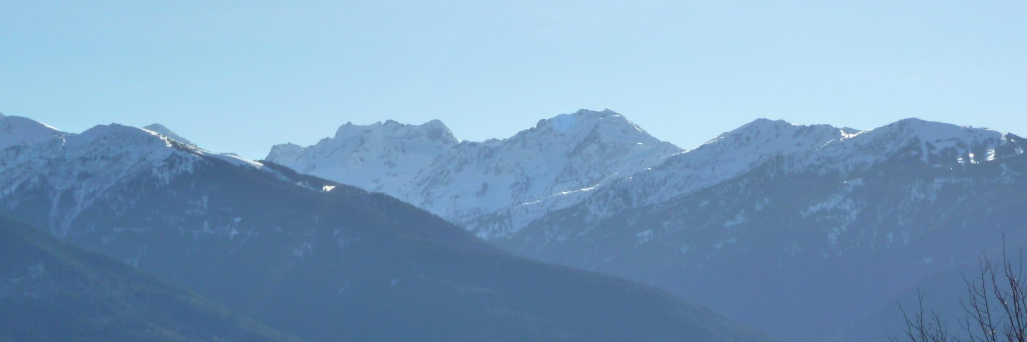 Faillet nicolas banner