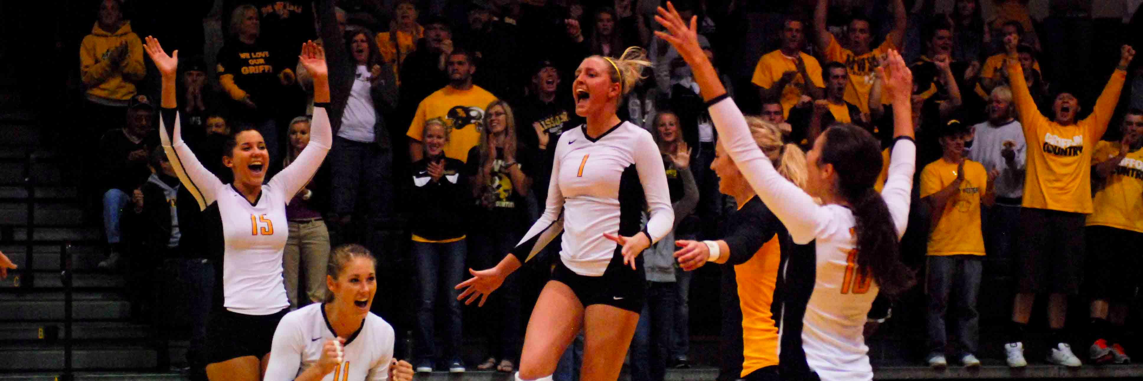 Volleyball Coaching™ banner