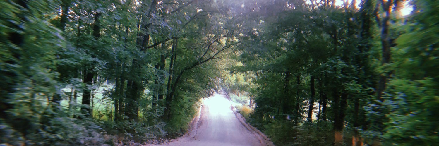 chelsea charboneau banner