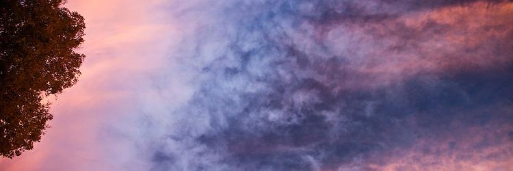LouisLOfficial's profile banner image