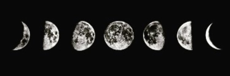 Dilan75440769's profile banner image