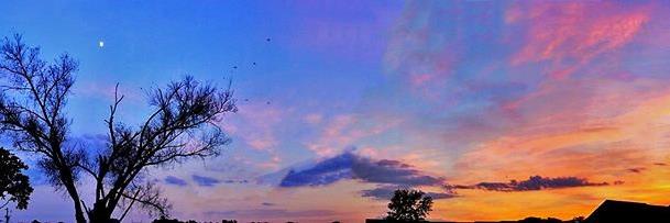 JoeBrooks42's profile banner image