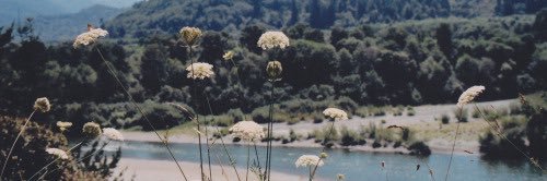 blakezamoraa's profile banner image