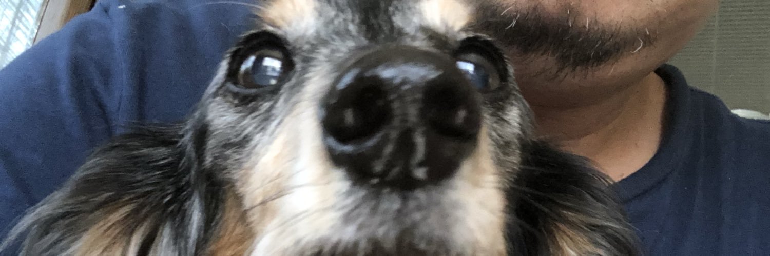 yoik1031's profile banner image