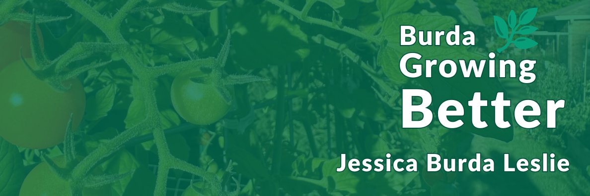 jdburda's profile banner image