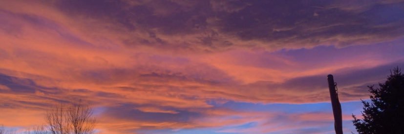 fionabump's profile banner image