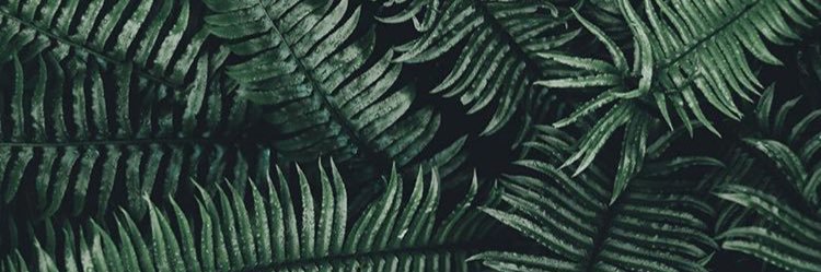 madds61's profile banner image