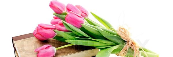 Jacquel61941232 Profile Banner