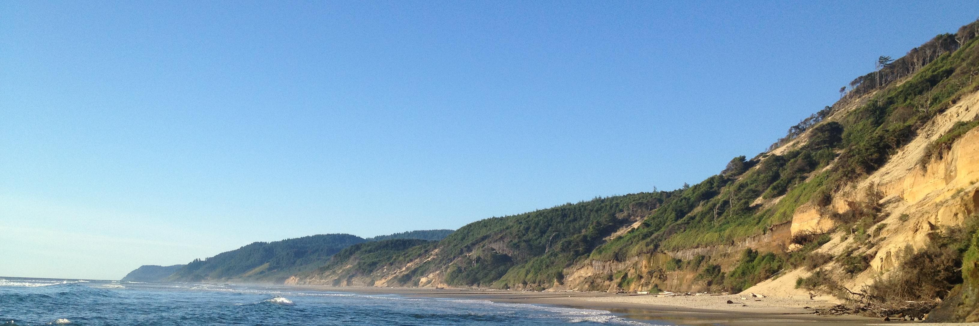 Nurture Effect banner