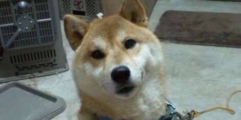 chie101812's profile banner image