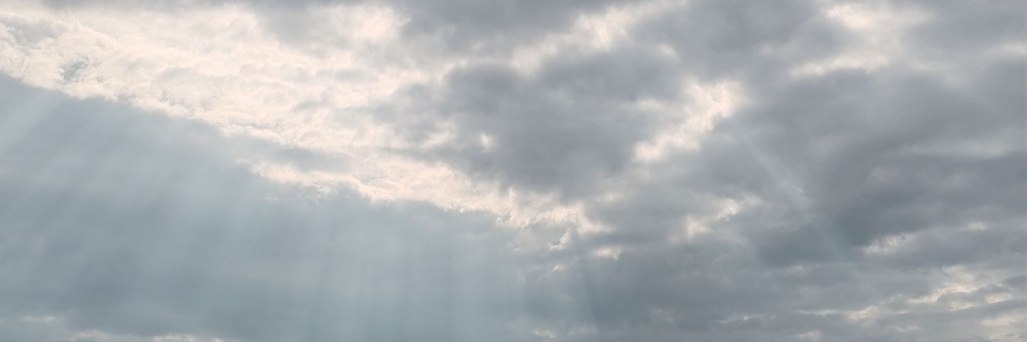 wieneecircle's profile banner image