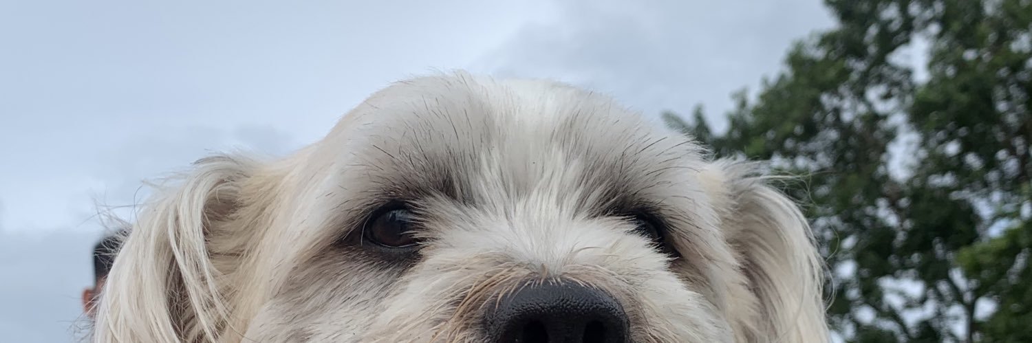 altheafrnndz's profile banner image