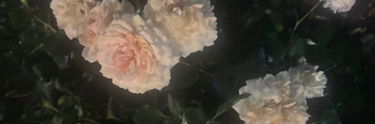 aigl0w's profile banner image