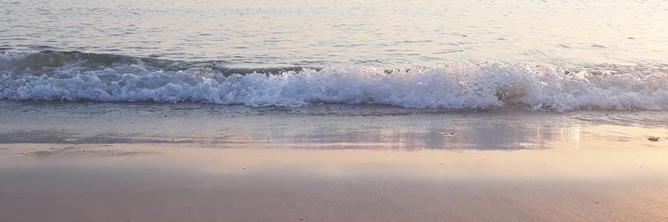 supatsara__'s profile banner image