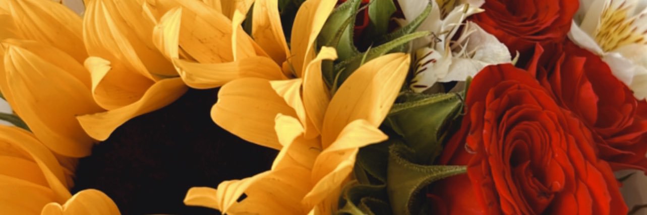 argeliavale08's profile banner image