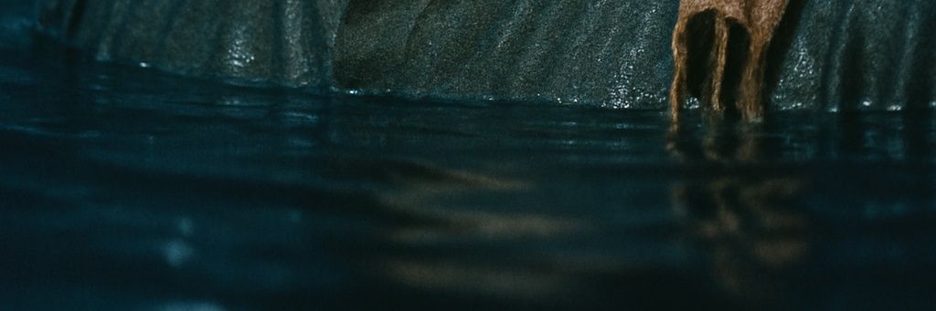 StraightSpitKE's profile banner image