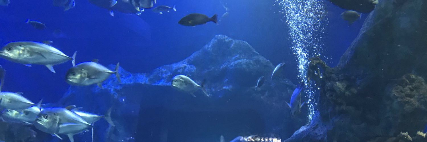 とげし banner