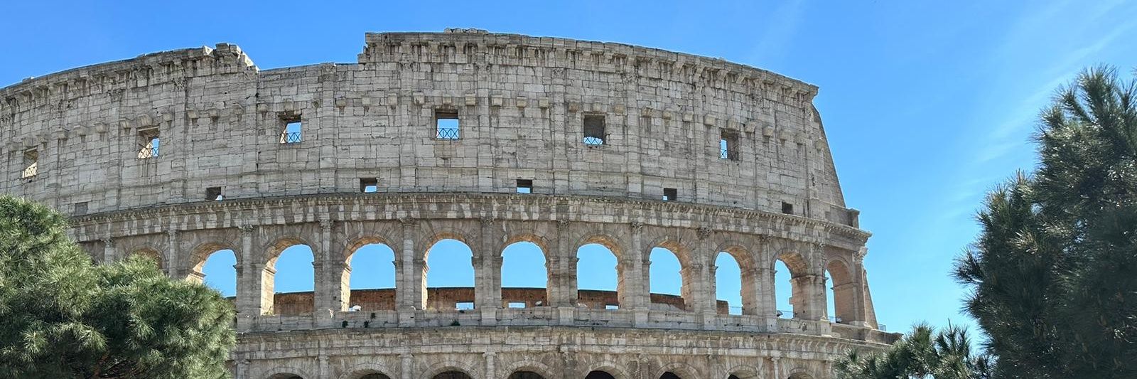 natalie brownell banner