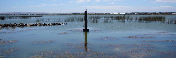 AquaticDynamic Profile Banner